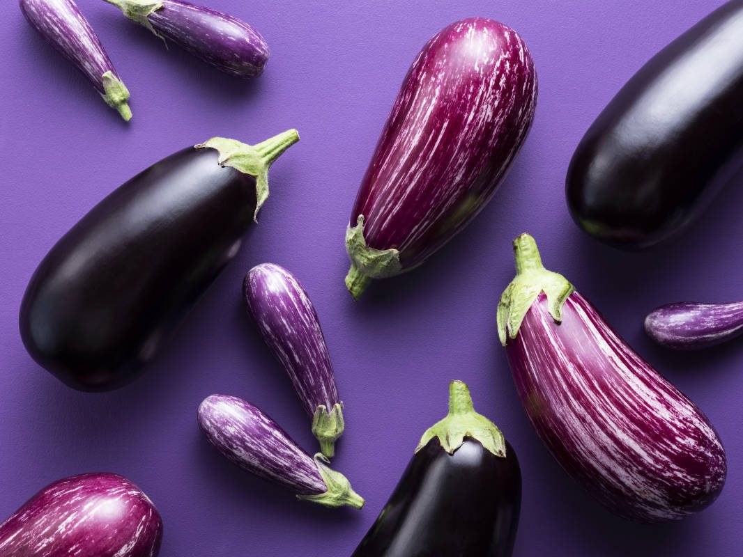 aubergine